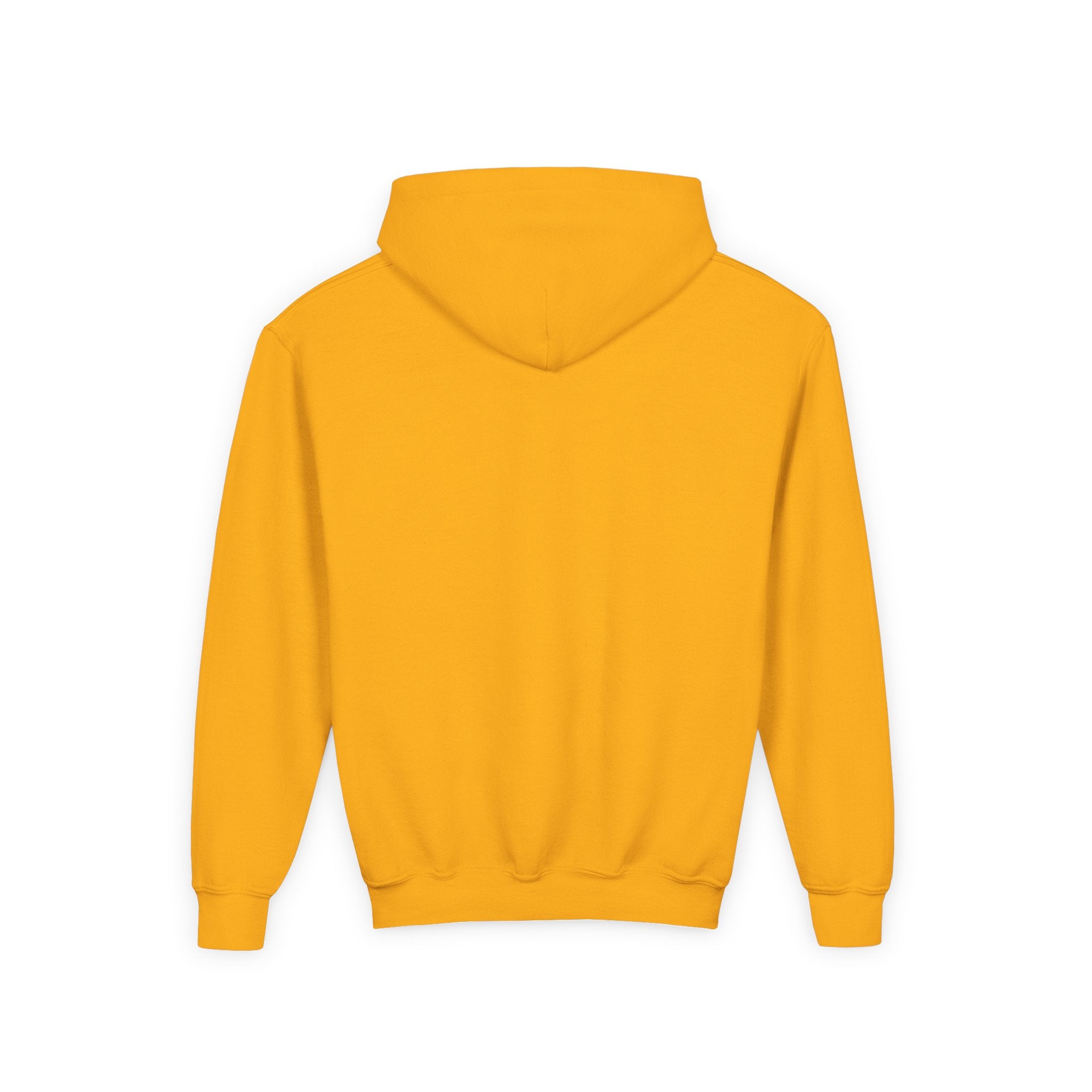 Youth Hoodie - "Choose Joy I Did" Guitar Kid Graphic
