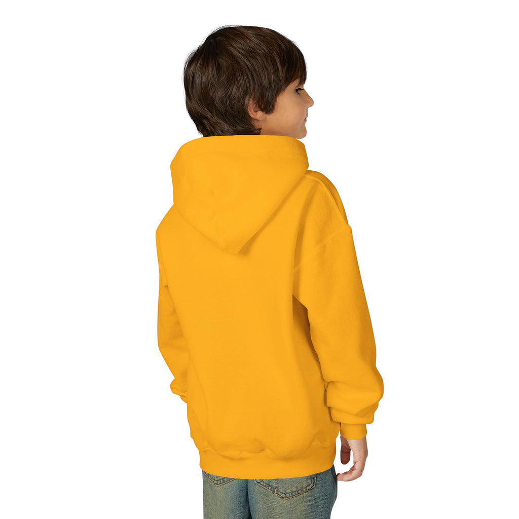 Youth Hoodie - "Choose Joy I Did" Guitar Kid Graphic